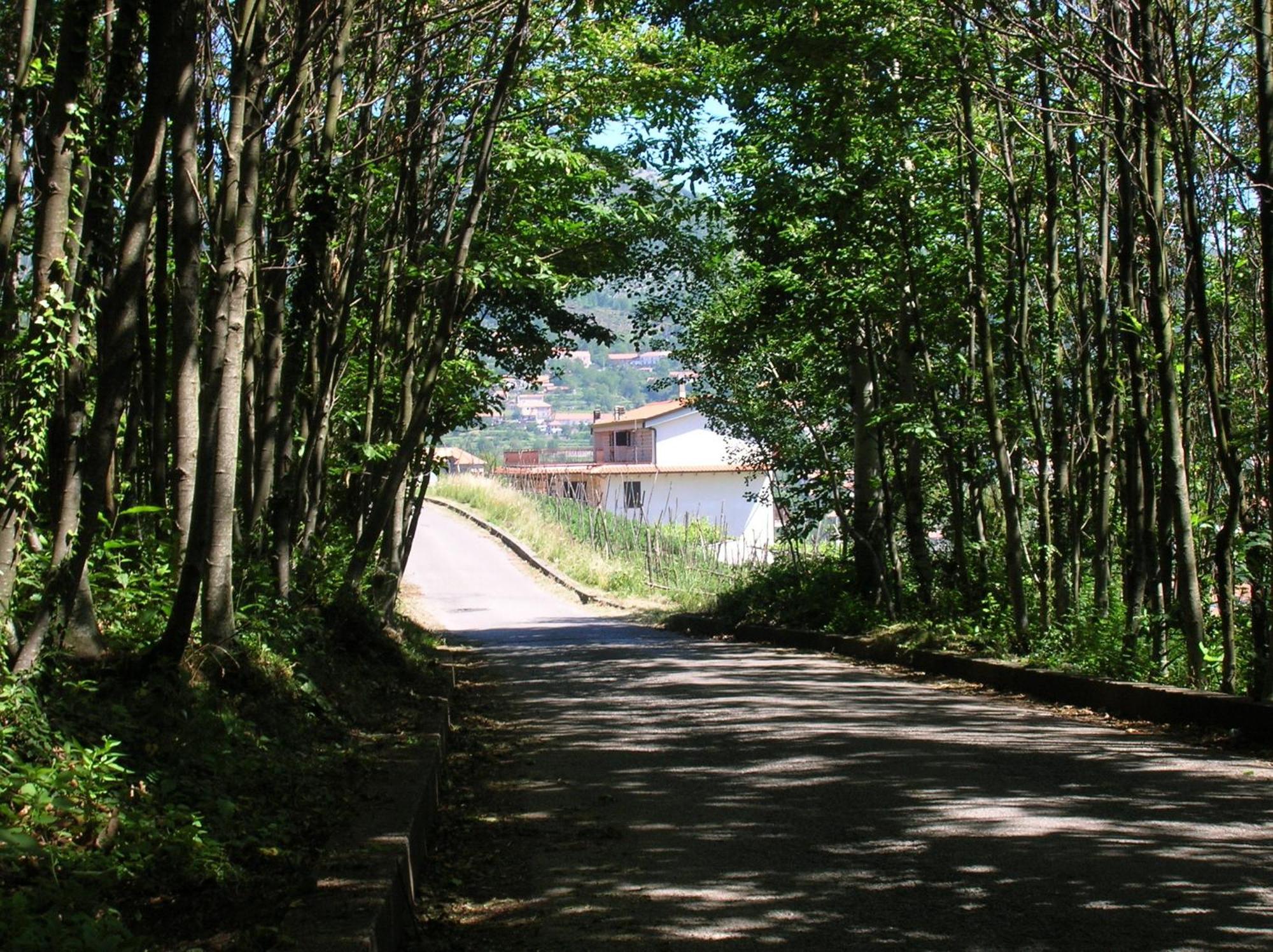 Casa Pendola Bed and Breakfast Agerola Εξωτερικό φωτογραφία